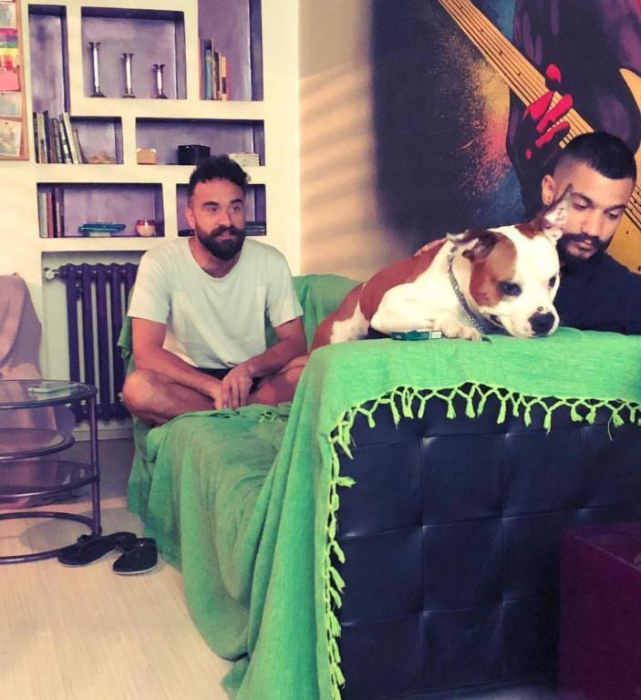 Pop Art Hostel Βελιγράδι Εξωτερικό φωτογραφία
